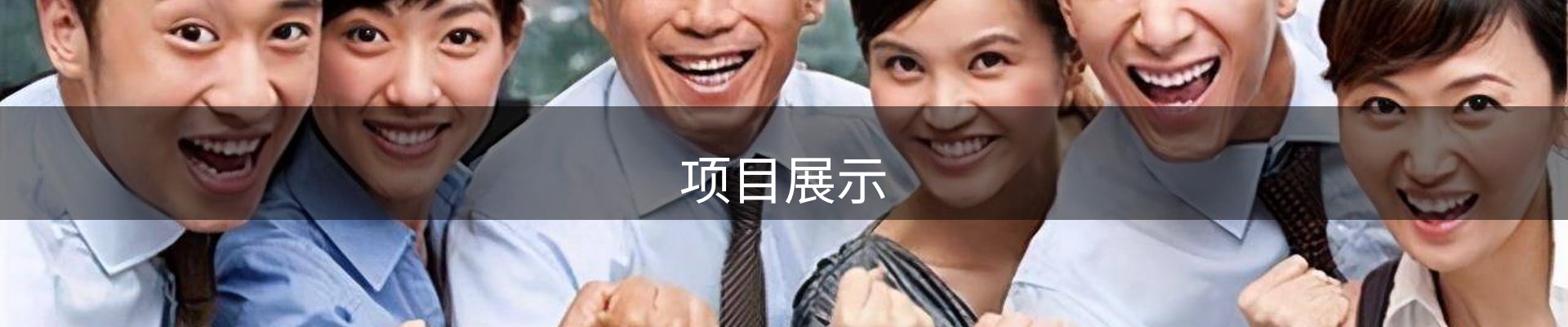 项目展示
